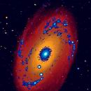 M81