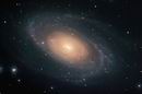 M81