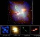 M83