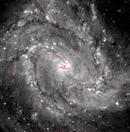 M83