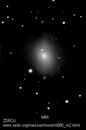 M85