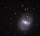 M91