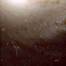 M91