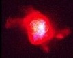 NGC6210