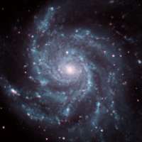 M101