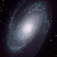 M81