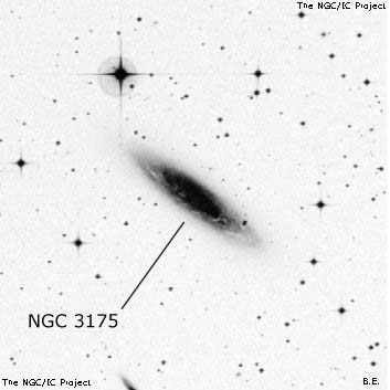 Negativní snímek oblohy NGC 3175