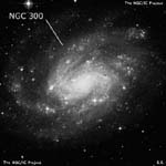 NGC 300
