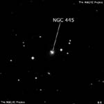 NGC 445