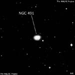NGC 491