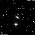 NGC 917