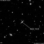 NGC 919