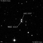 NGC 1117