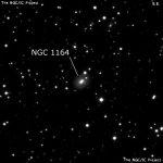 NGC 1164