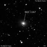 NGC 1167