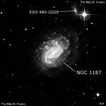 NGC 1187