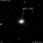 NGC 1310
