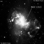 NGC 1313