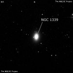 NGC 1339