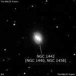 NGC 1442