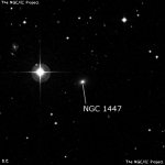 NGC 1447