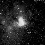 NGC 1491