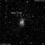 NGC 1736