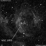 NGC 1955