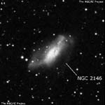 NGC 2146