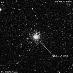 NGC 2164