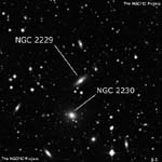 NGC 2229
