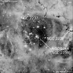 NGC 2244