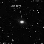 NGC 2273