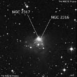 NGC 2316