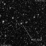 NGC 2319