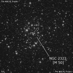 NGC 2323