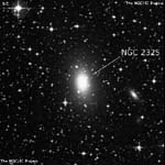 NGC 2325