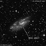 NGC 2427