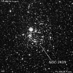 NGC 2439