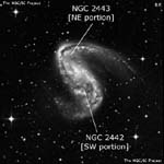 NGC 2442
