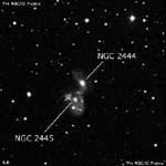 NGC 2444