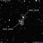 NGC 2445