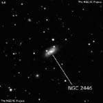 NGC 2446