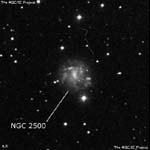 NGC 2500