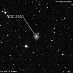 NGC 2503