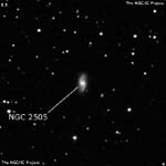 NGC 2505
