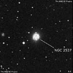 NGC 2537