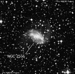 NGC 2566