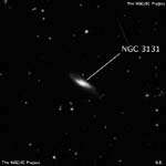NGC 3131