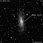 NGC 3137